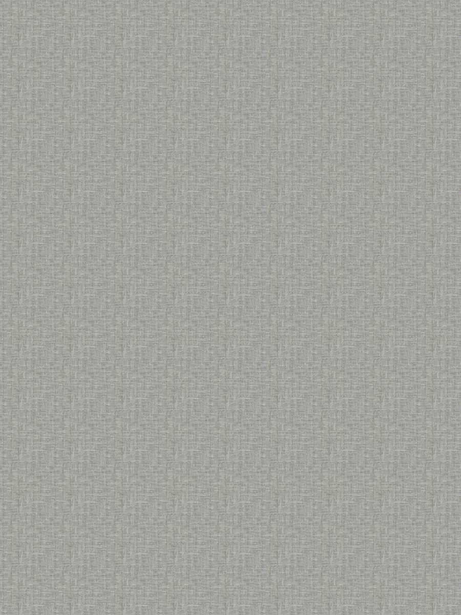 Bluster – Birch