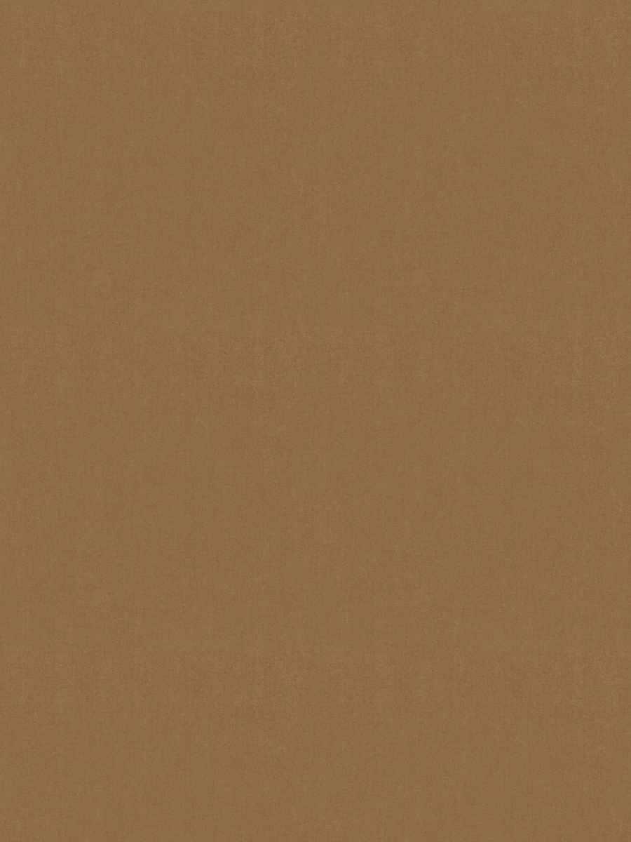 Alfred – Camel
