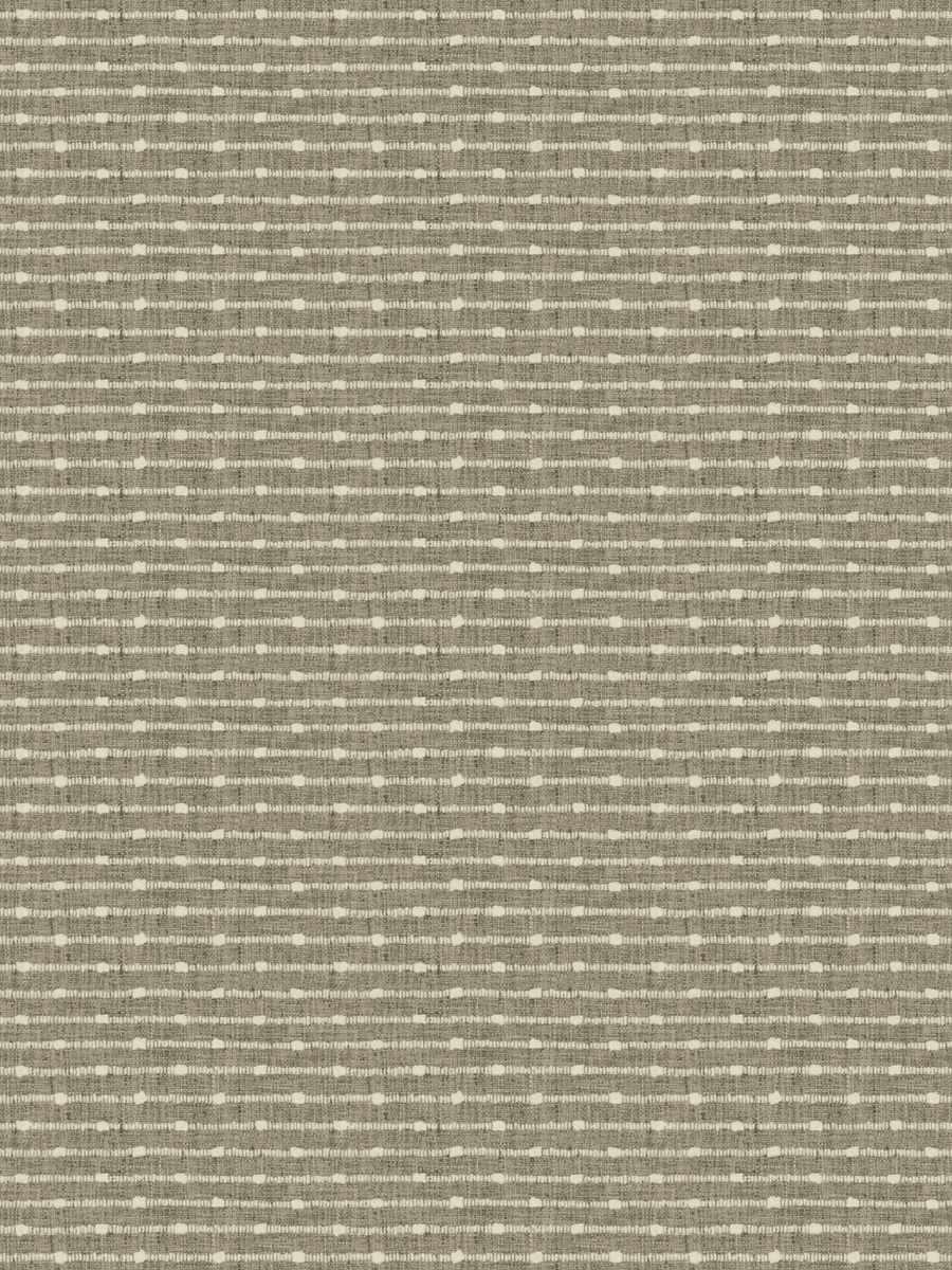 Vieja – Birch
