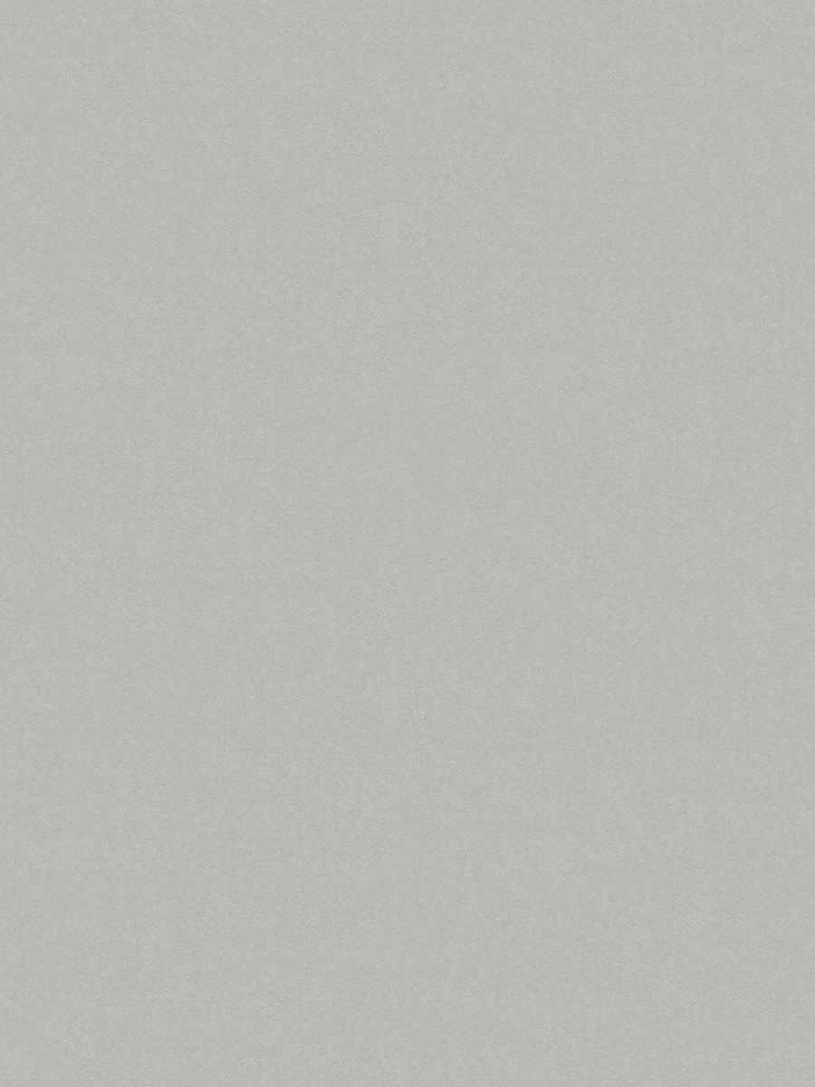 Walter – Fog