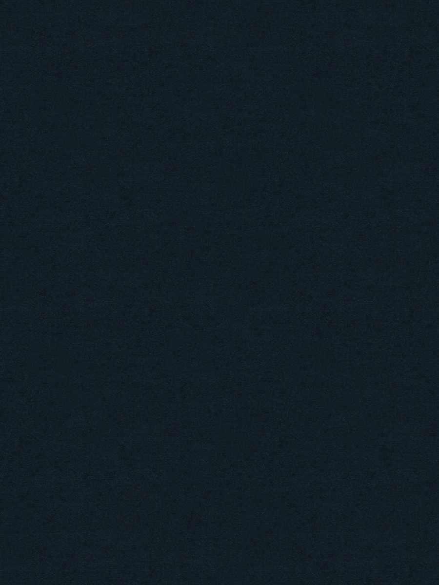 Walter – Midnight