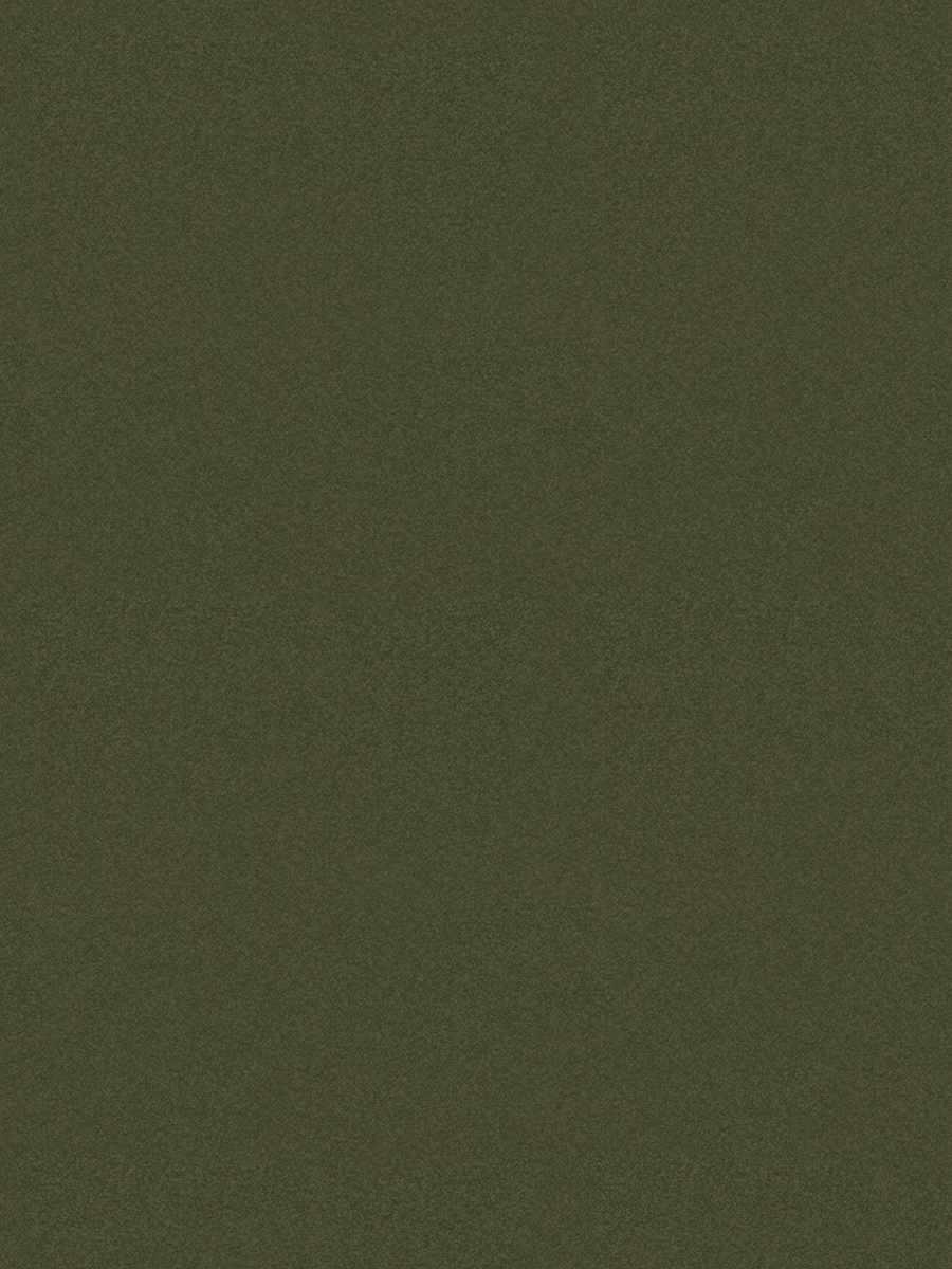 Walter – Olive