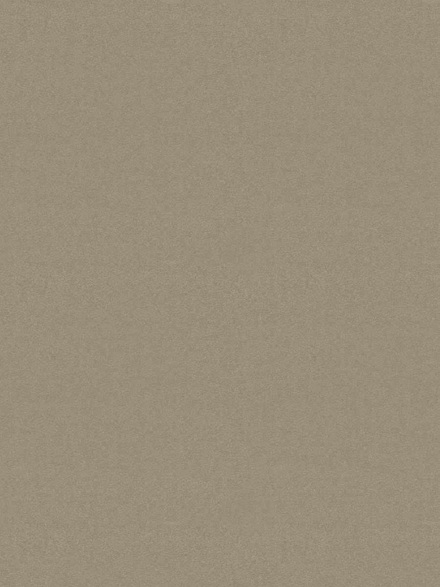 Walter – Khaki