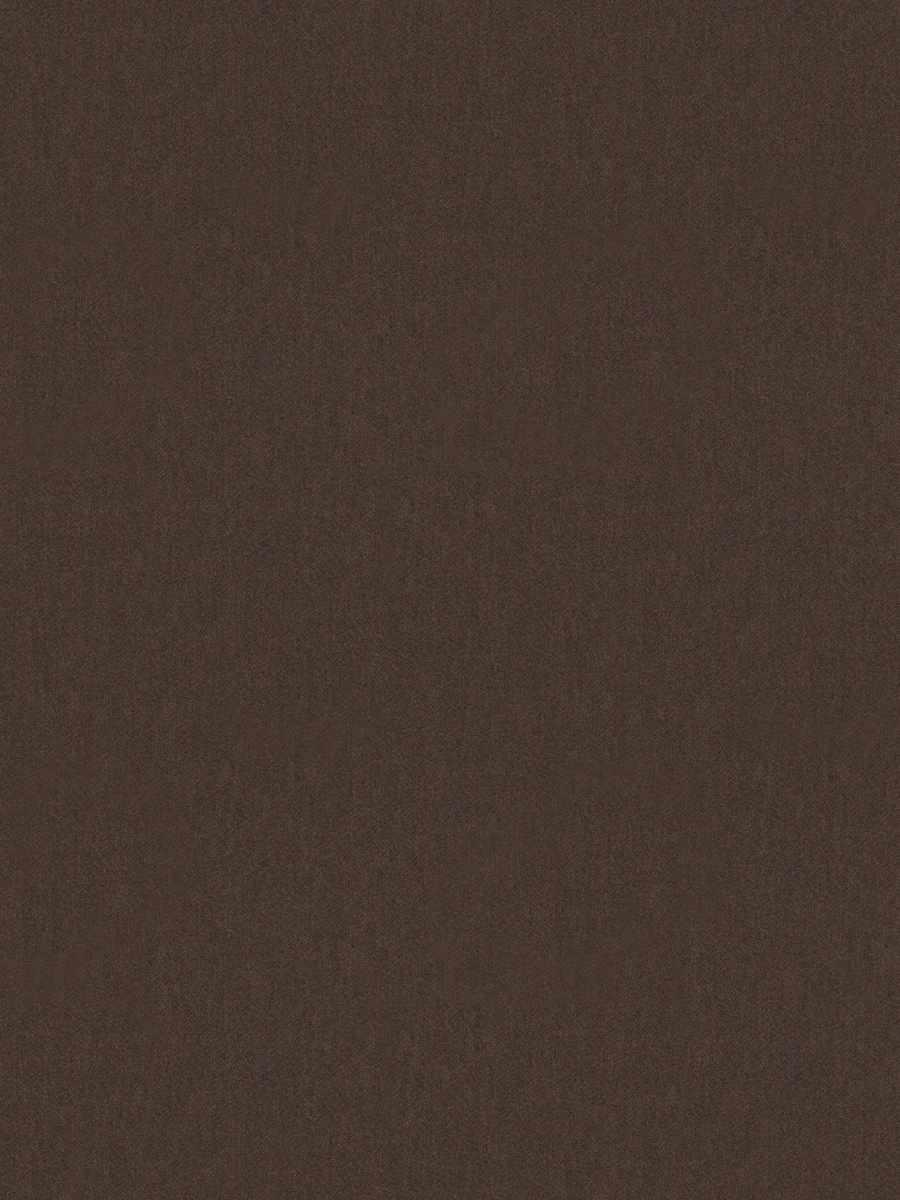 Montani – Mink
