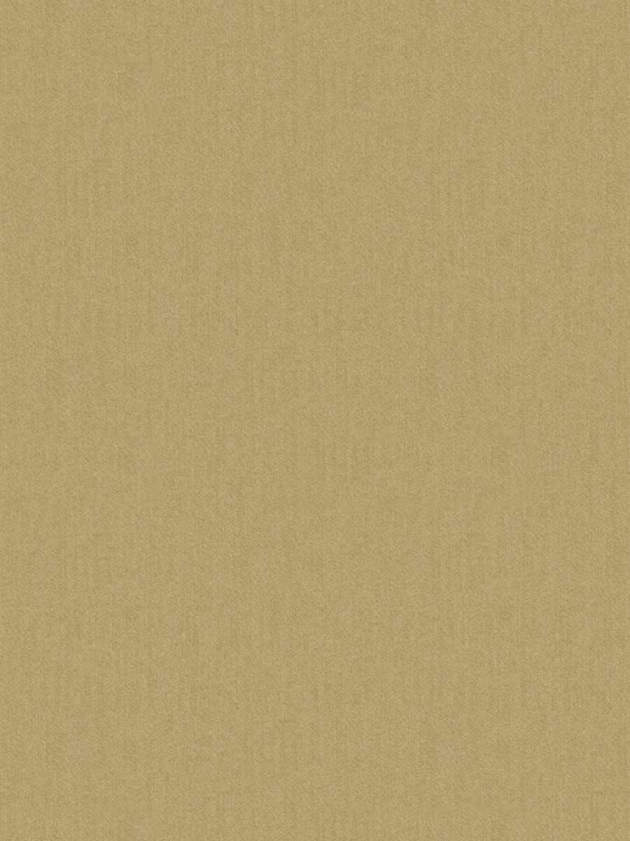 Montani – Camel