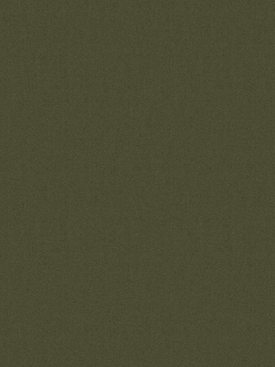 Montani – Hunter