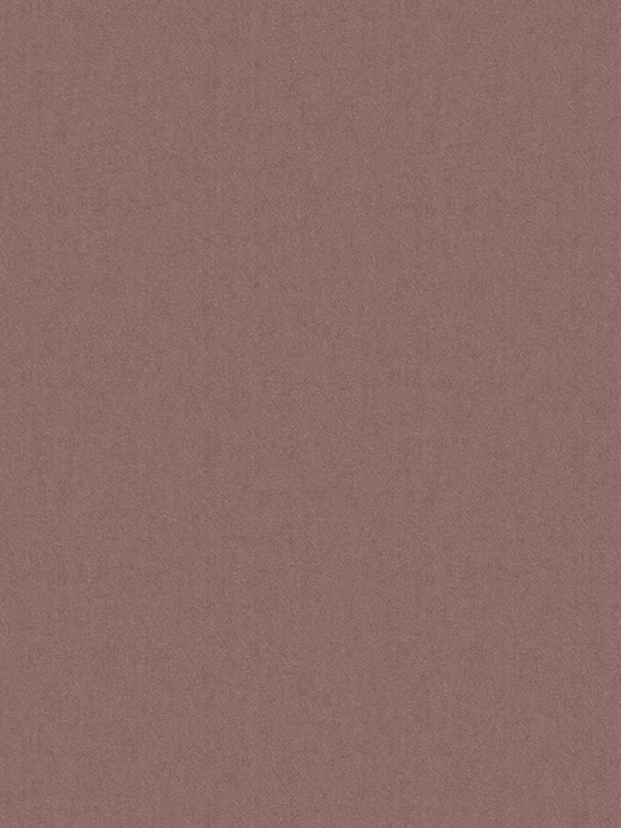 Montani – Orchid