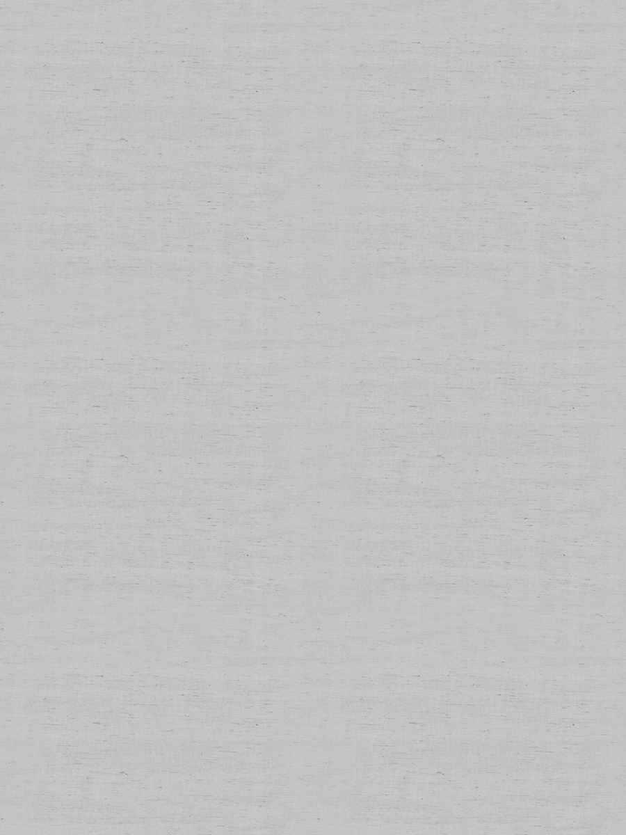 Caber Blackout – Pigeon