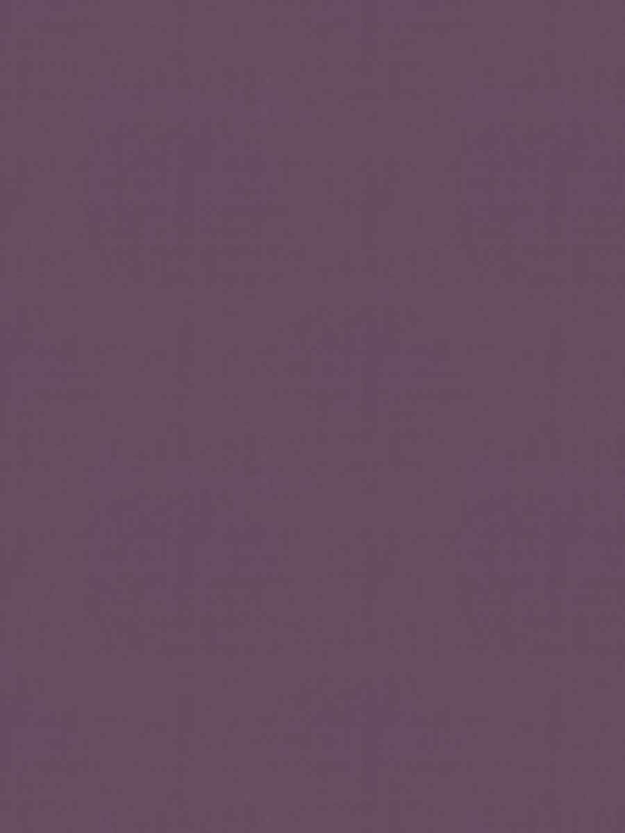 Siren Blackout – Orchid