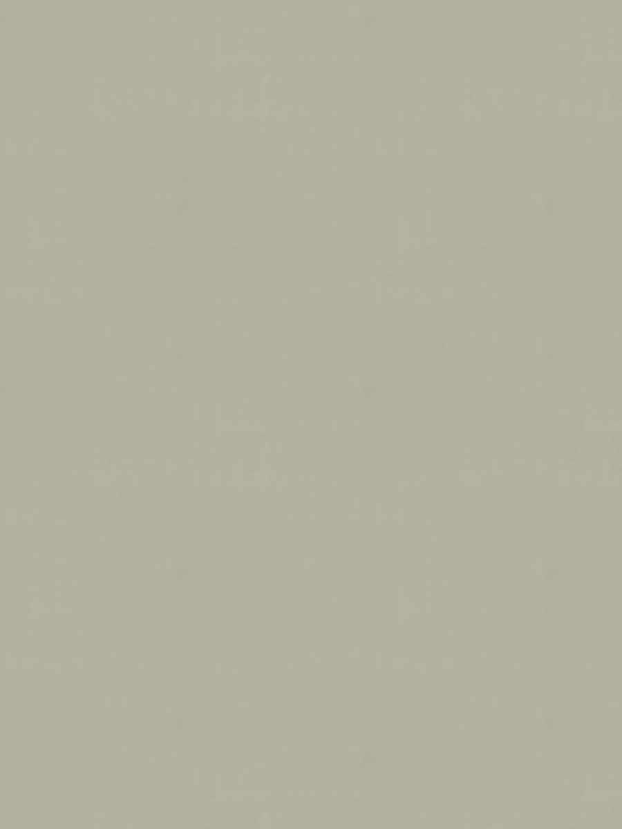 Siren Blackout – Flax