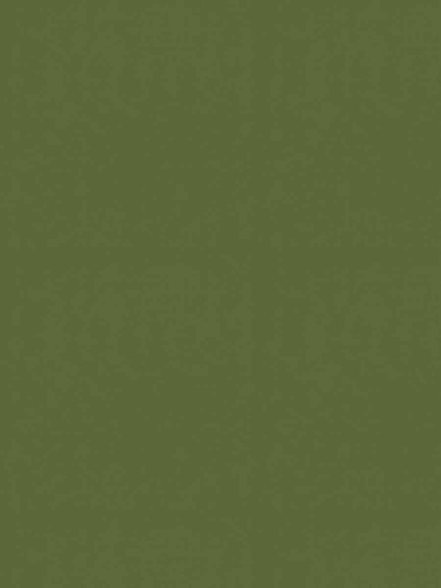 Peyton Blackout – Fern Basil