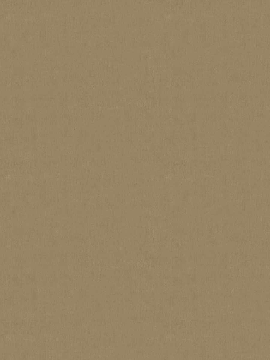 Denver Blackout – Ginger Gold
