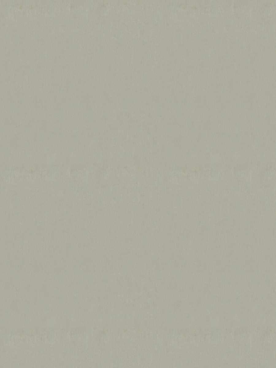 Denver Blackout – Paper White