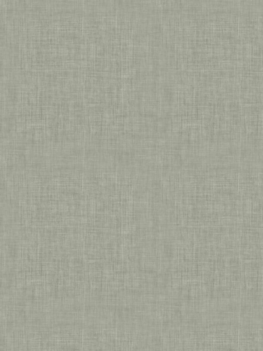 Stealth Blackout – Dove