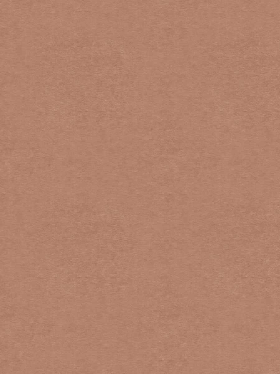 Turner Blackout – Tangerine