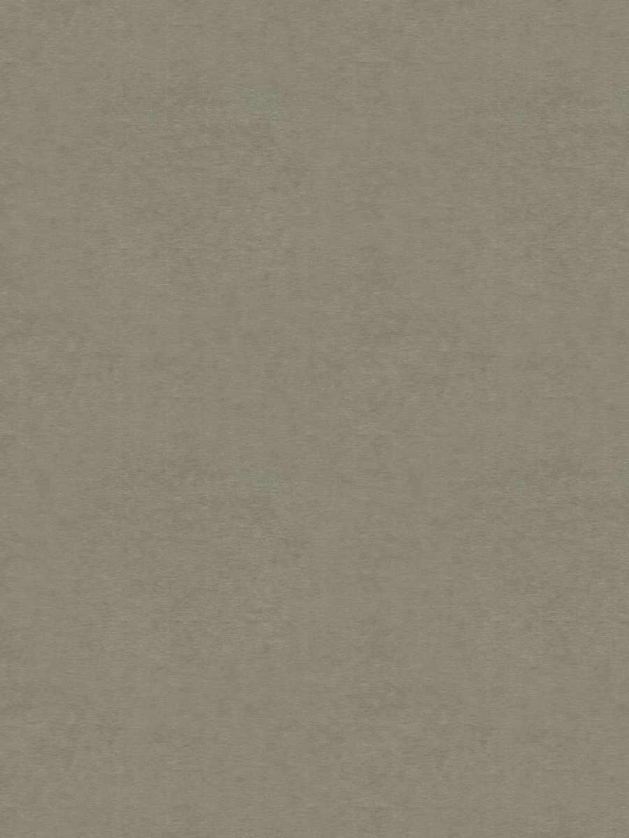Turner Blackout – Oyster