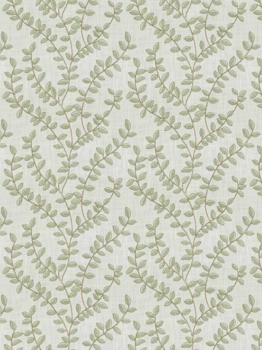 Saleema Vine – Leaf
