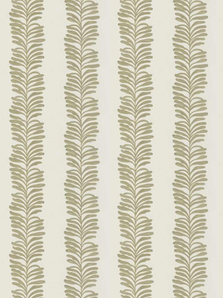 Grevillea – Quarry