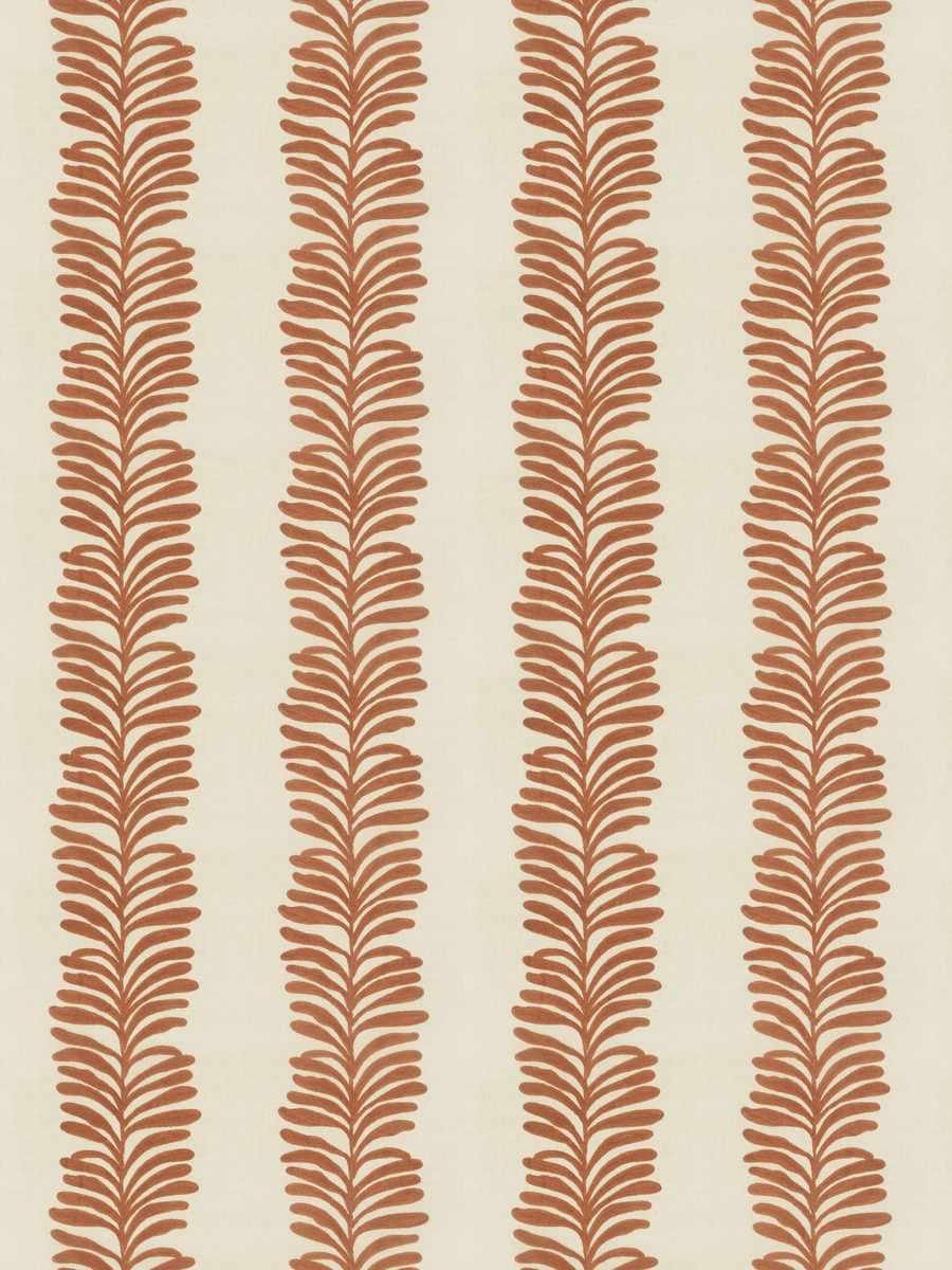 Grevillea – Clay