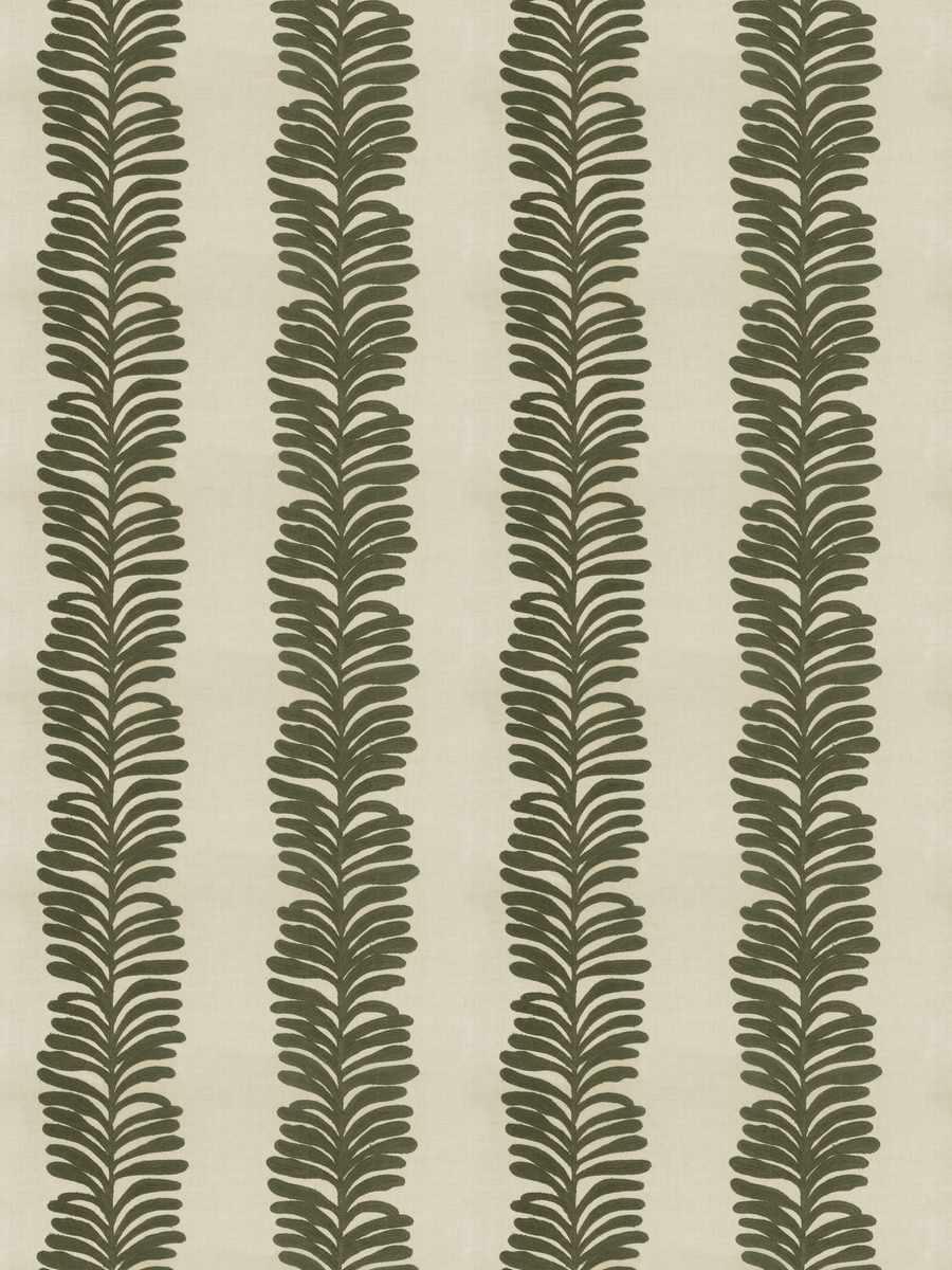 Grevillea – Olive