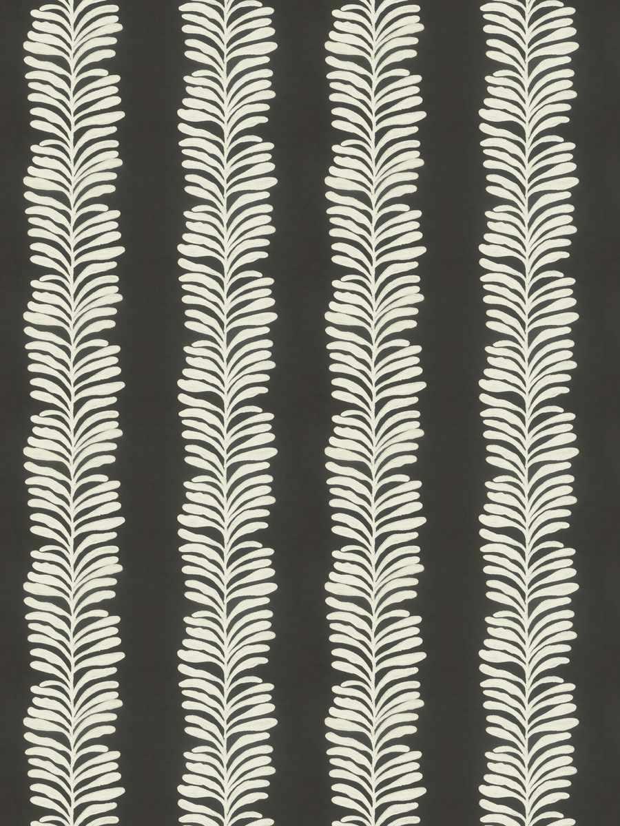 Grevillea – Classic Charcoal