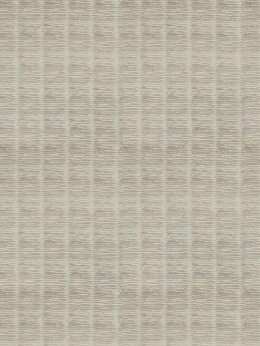 Fasciata – Grey
