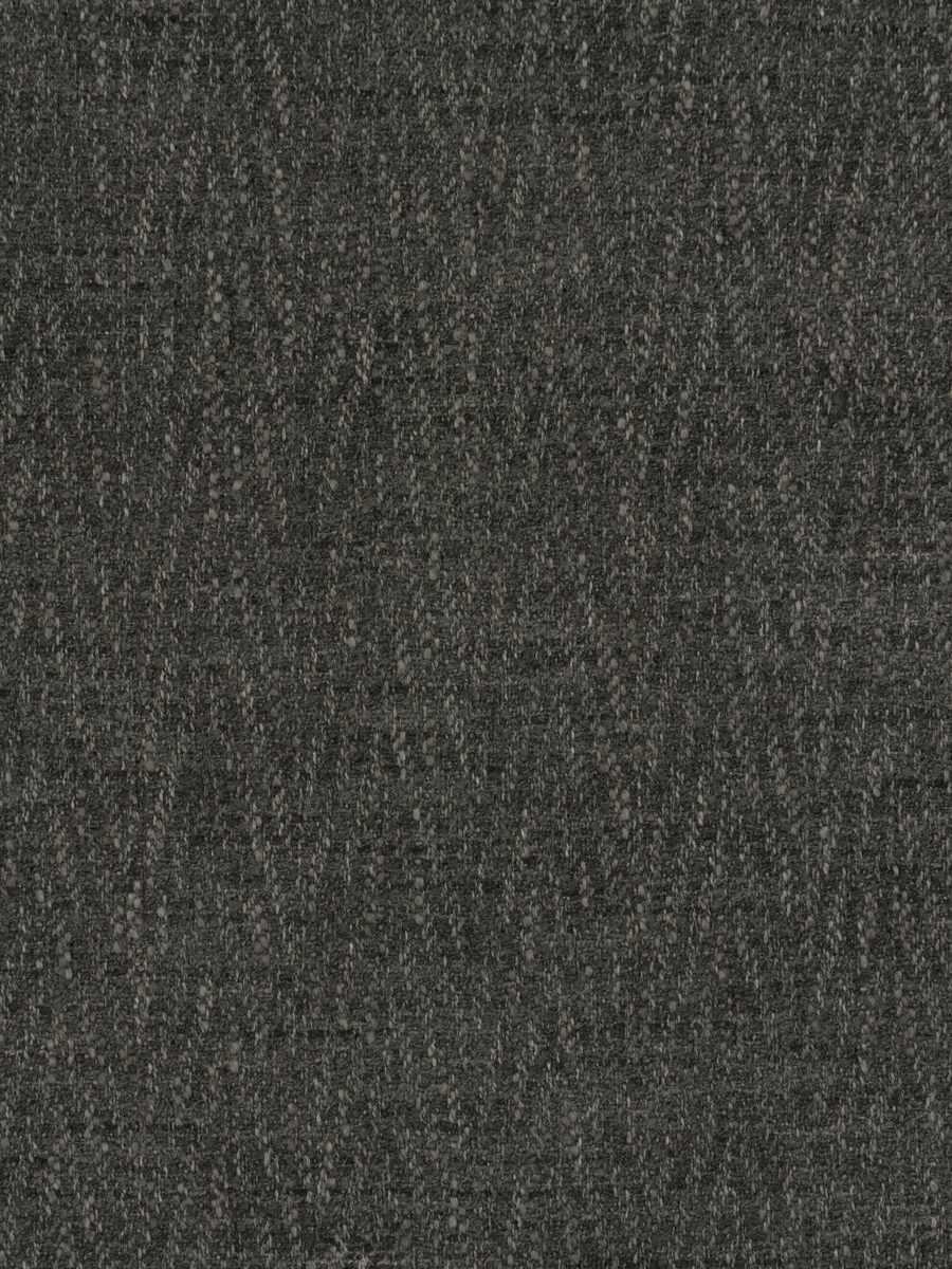 Castanea – Charcoal