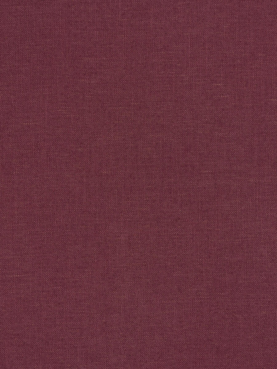 Stanford – Iris