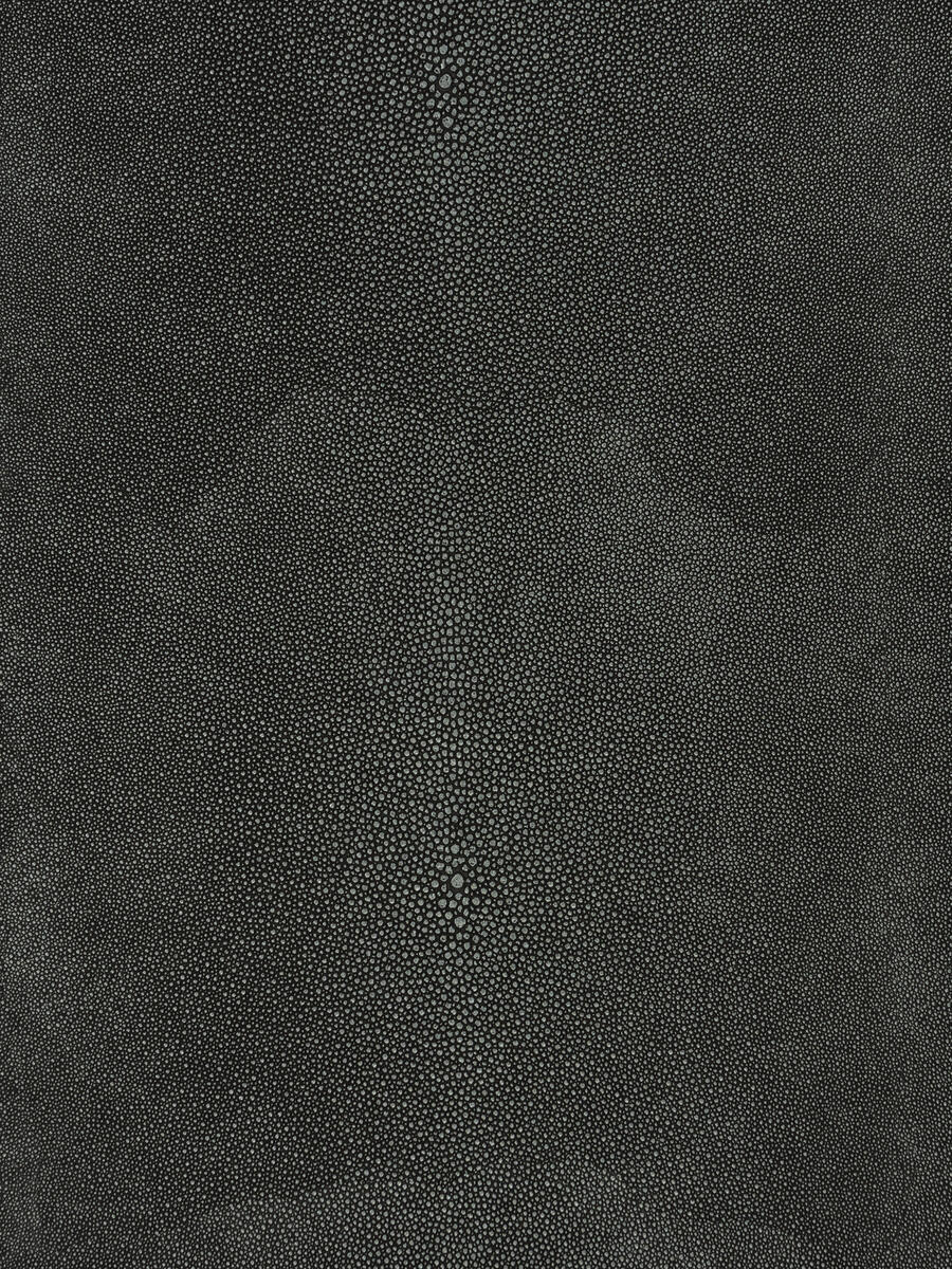 Canberra – Shadow