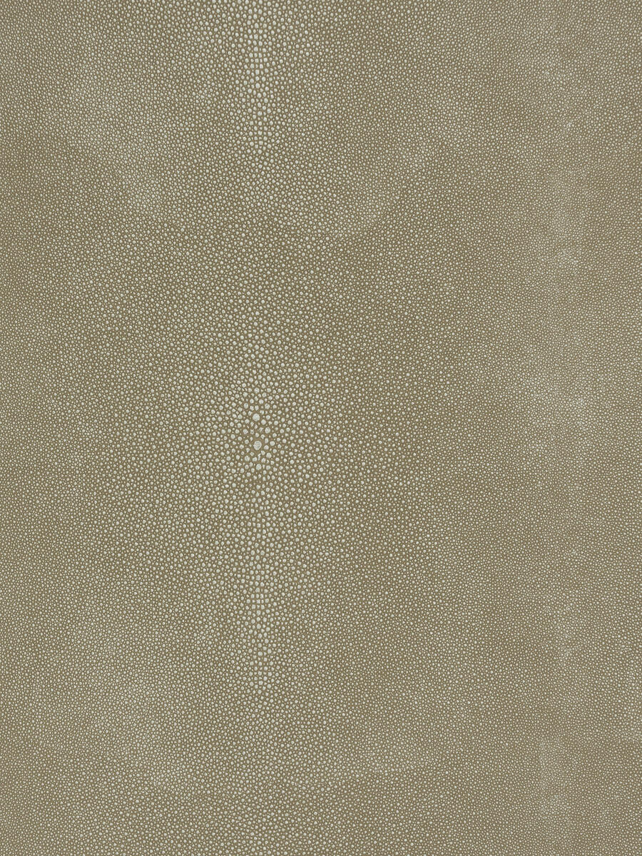 Canberra – Sesame