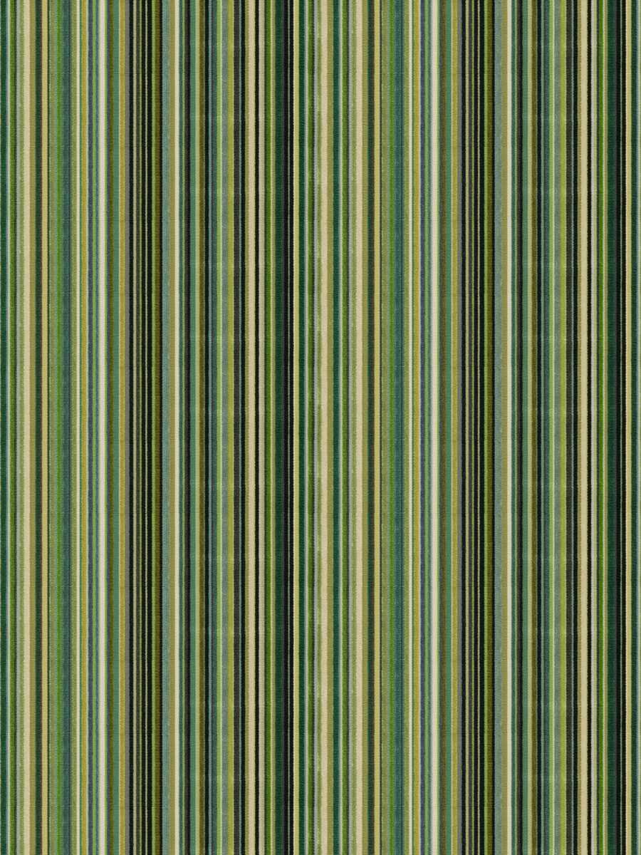 Prom Stripe – Chameleon