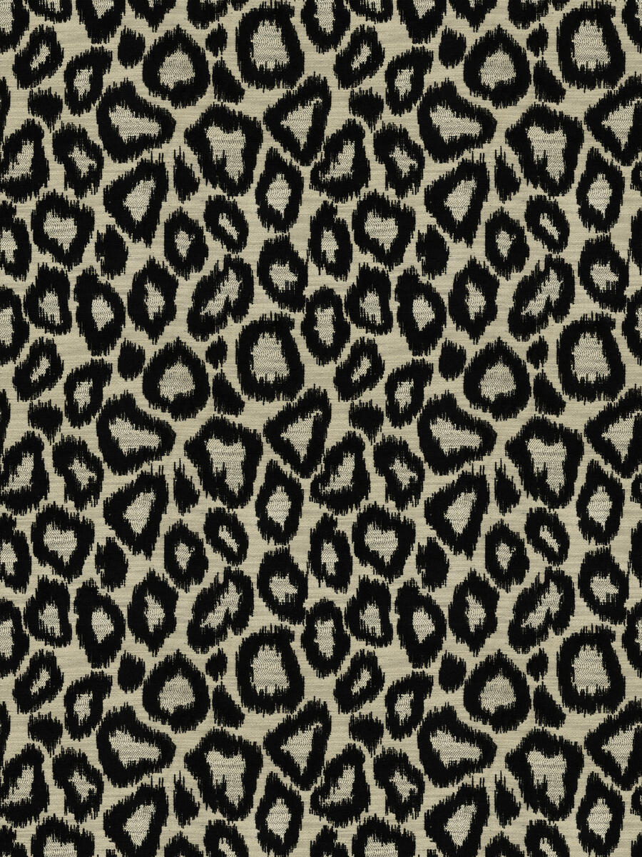 Gato – Onyx