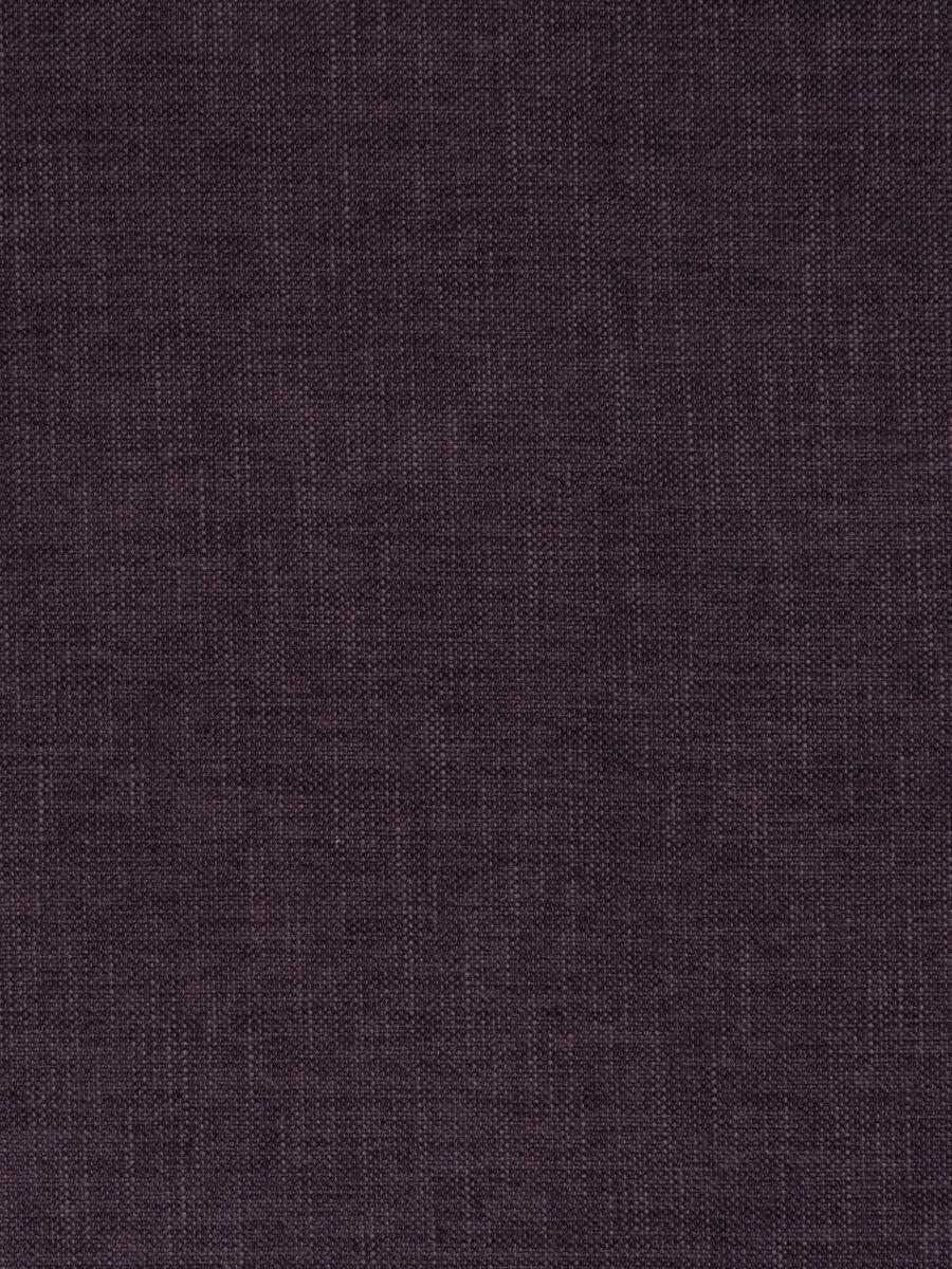 Zeal – Violet