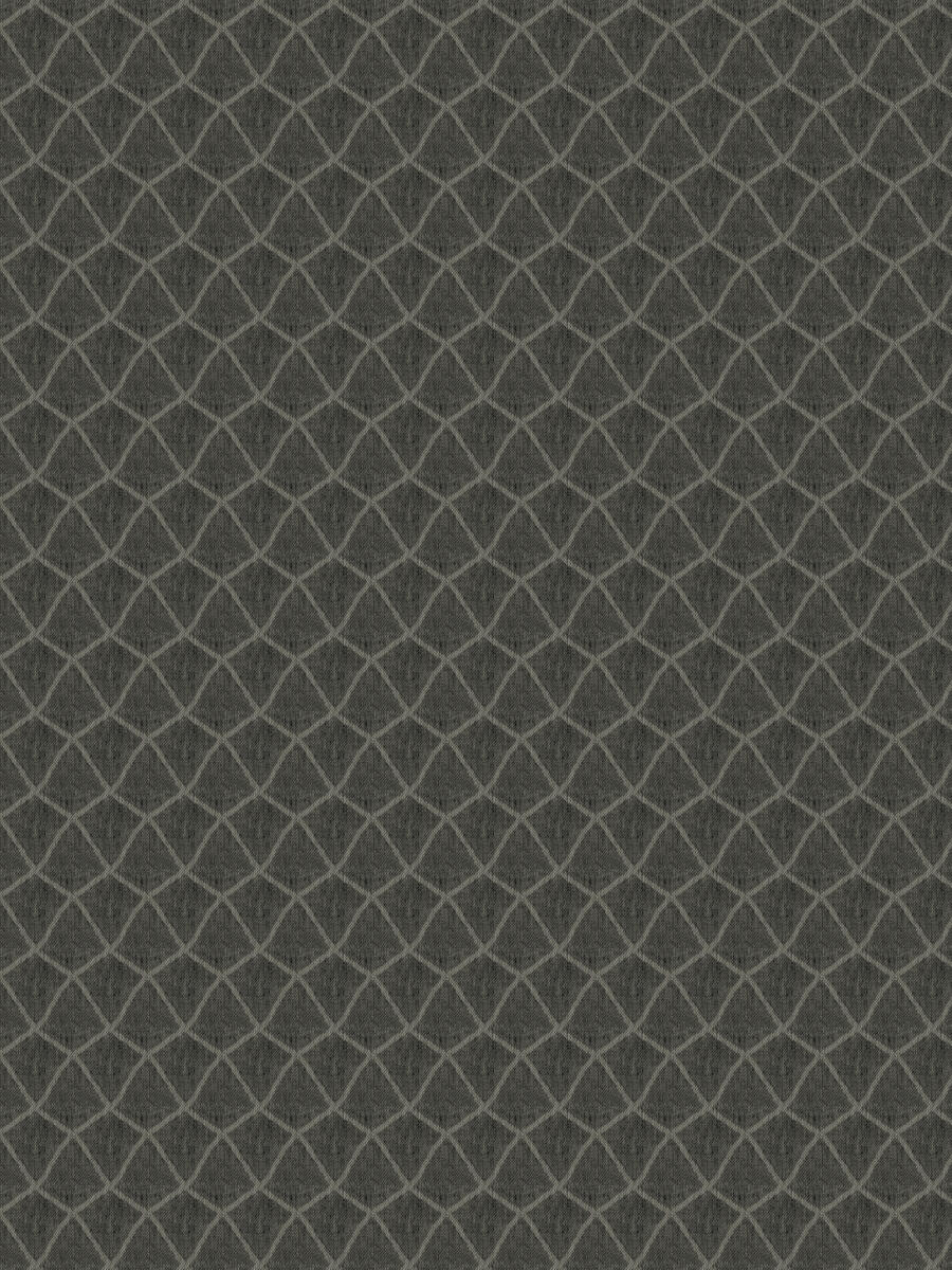 Scaled – Noir