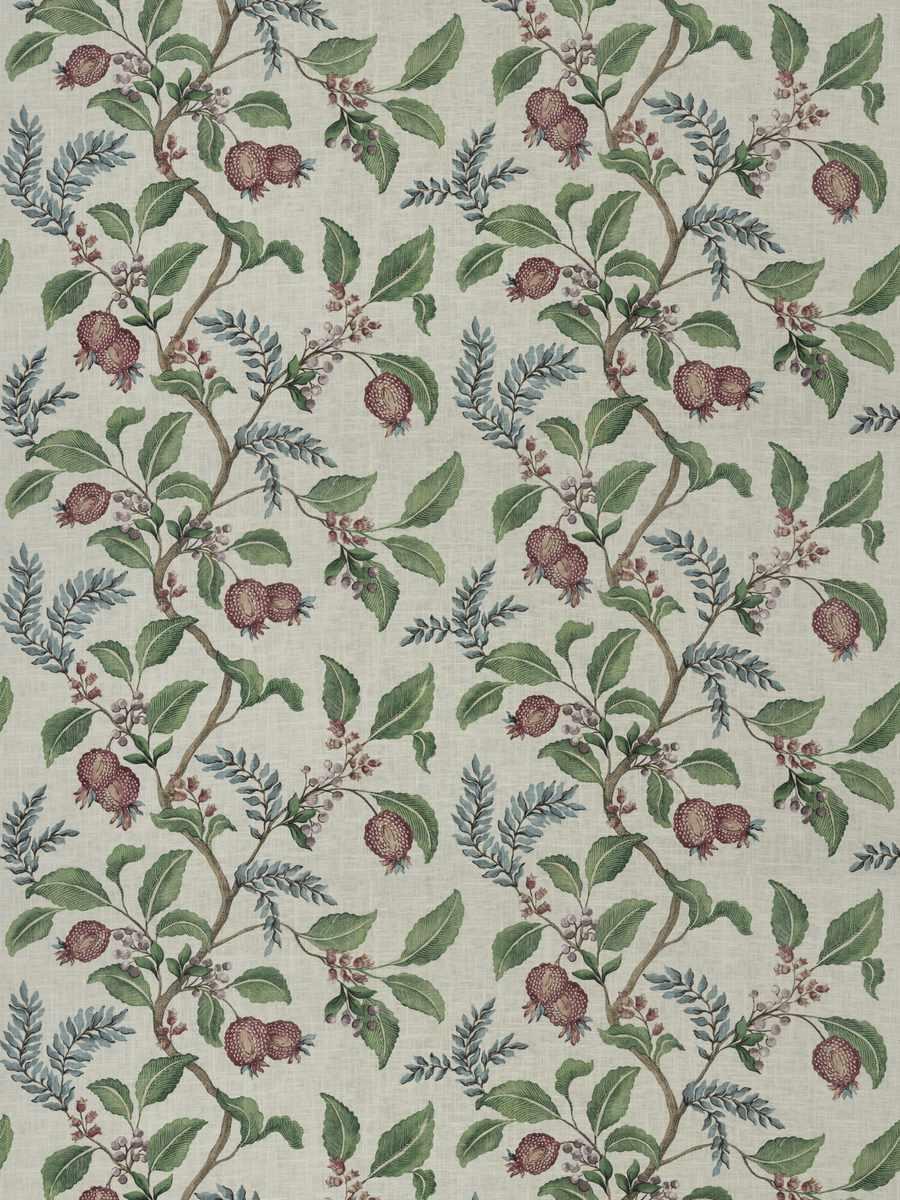 Arboretum – Plum