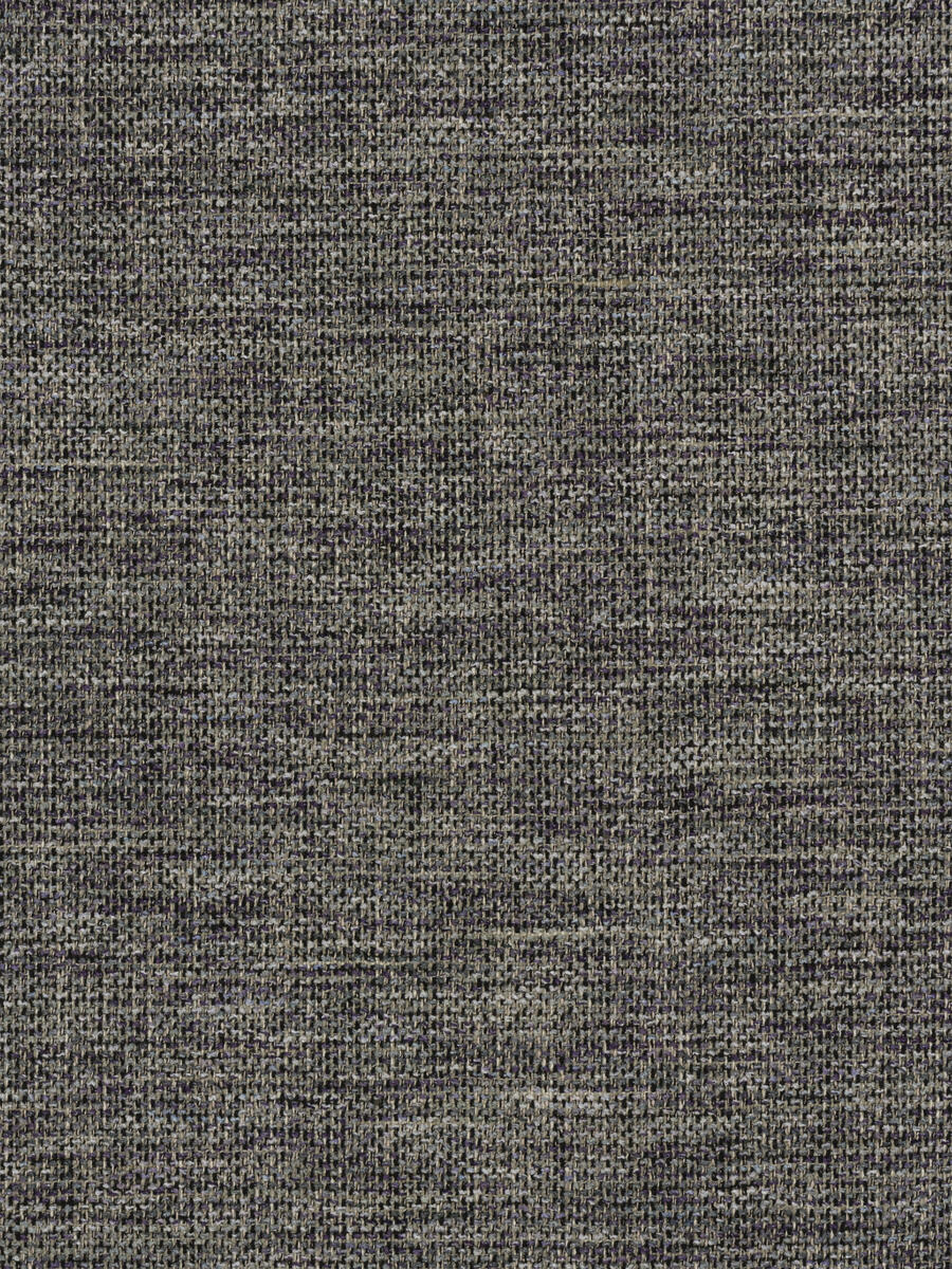 Himalayan – Plum