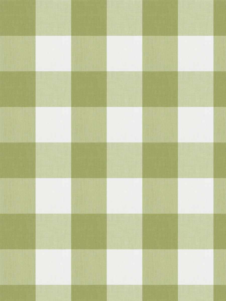 Camping Check – Celery