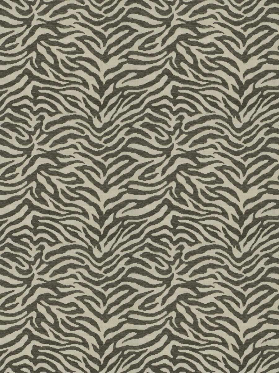 Zebra Tailed – Stone