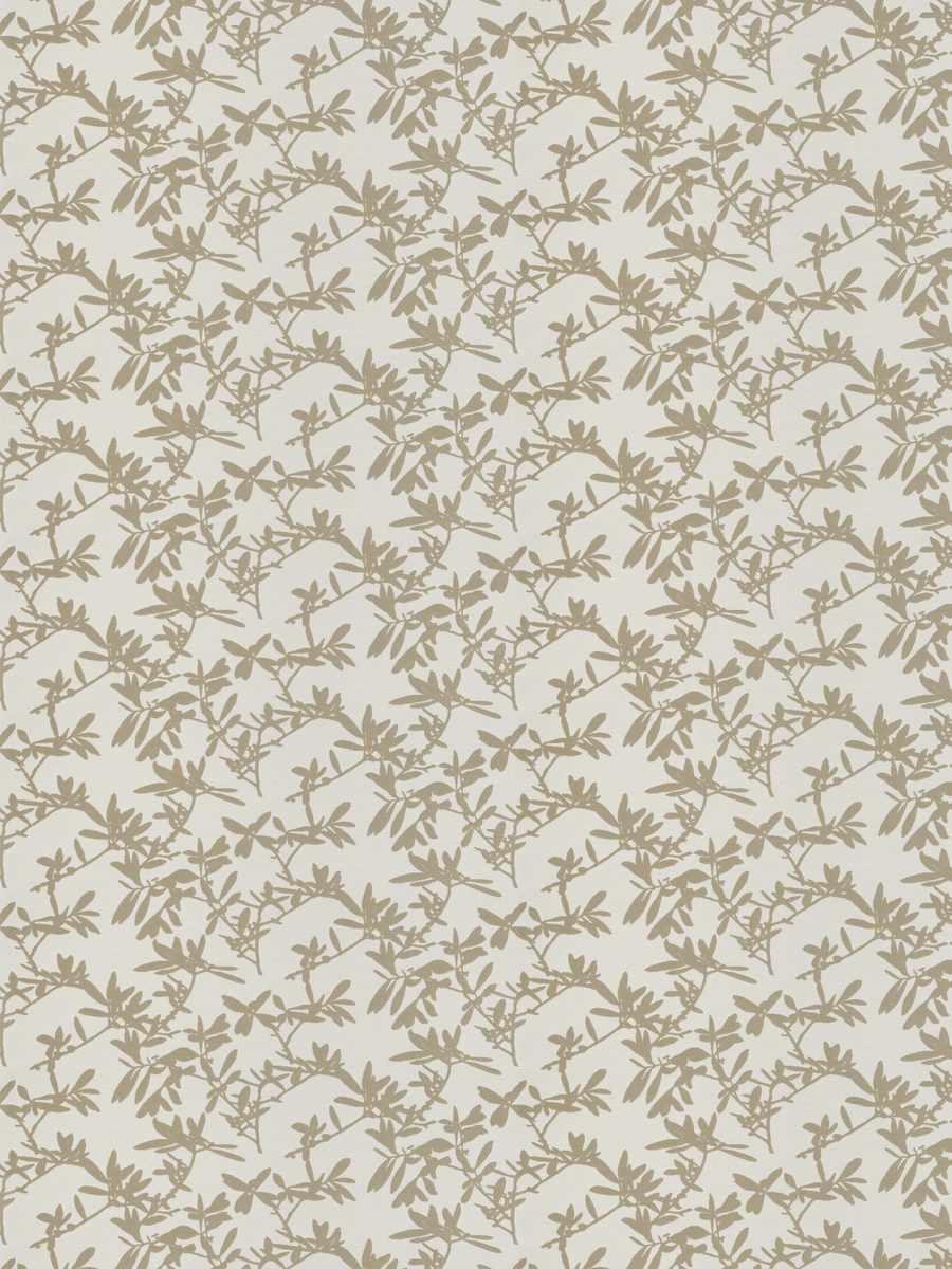 Tryst – Birch