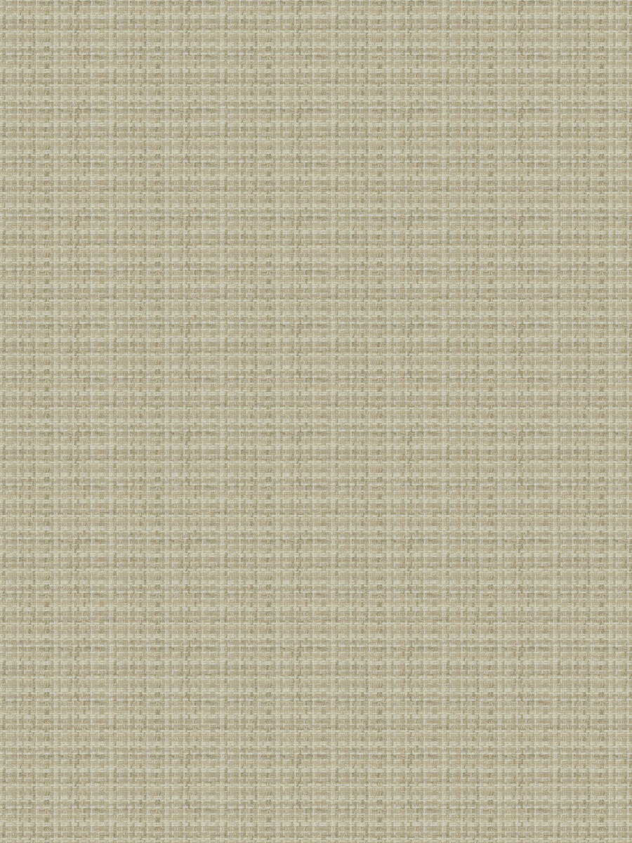 Glance – Birch