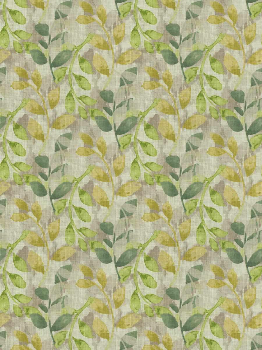 Ivy – Leaf