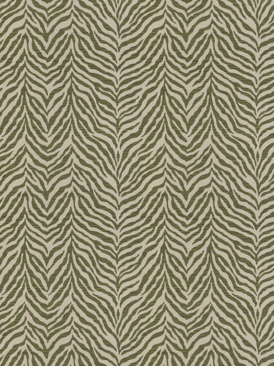 Congo – Ivy