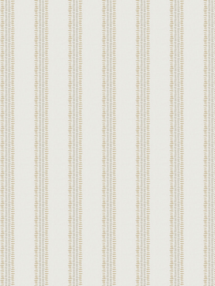 Enzyme Stripe – Natural