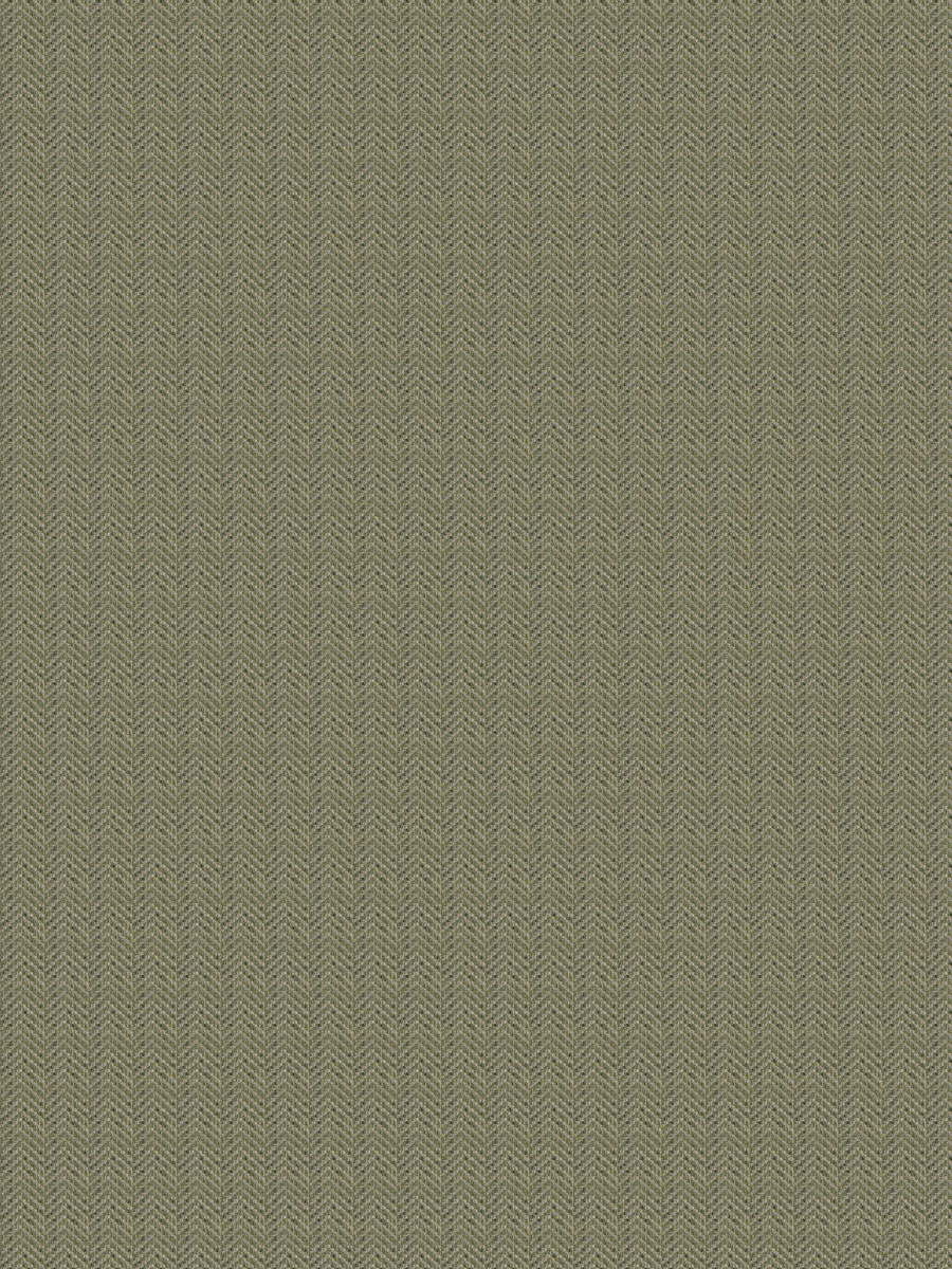Paxton – Camouflage