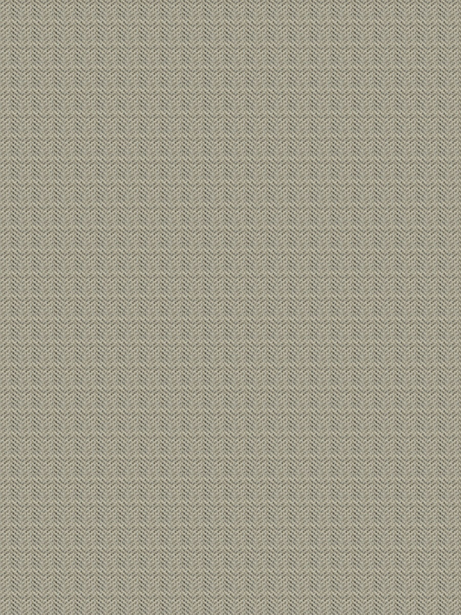 Paxton – Sesame