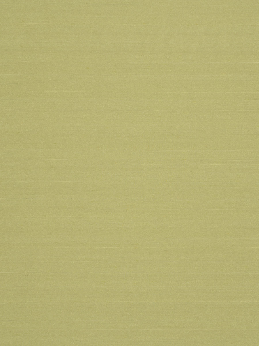 Eleganza – Celery