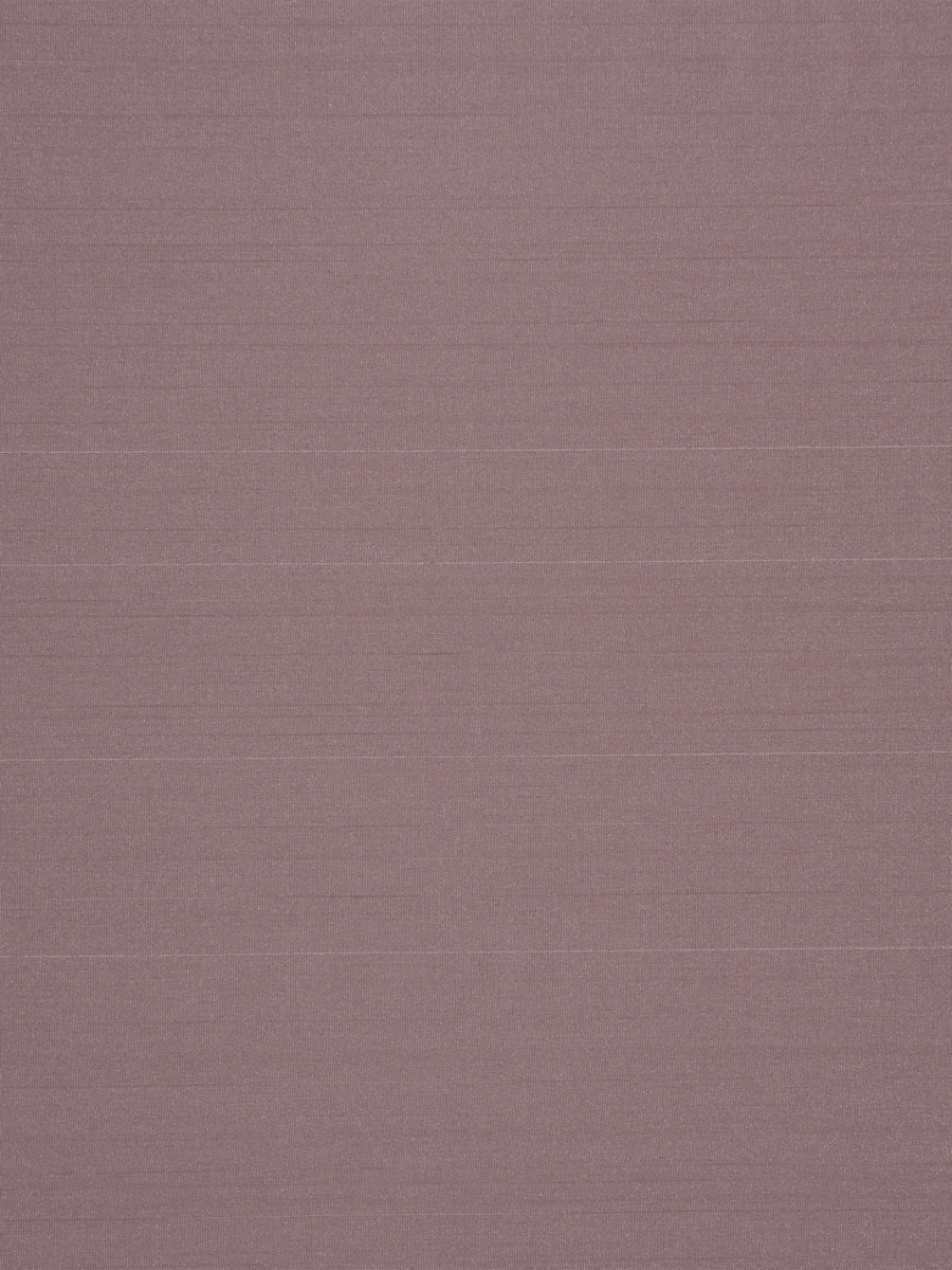 Eleganza – Tulip