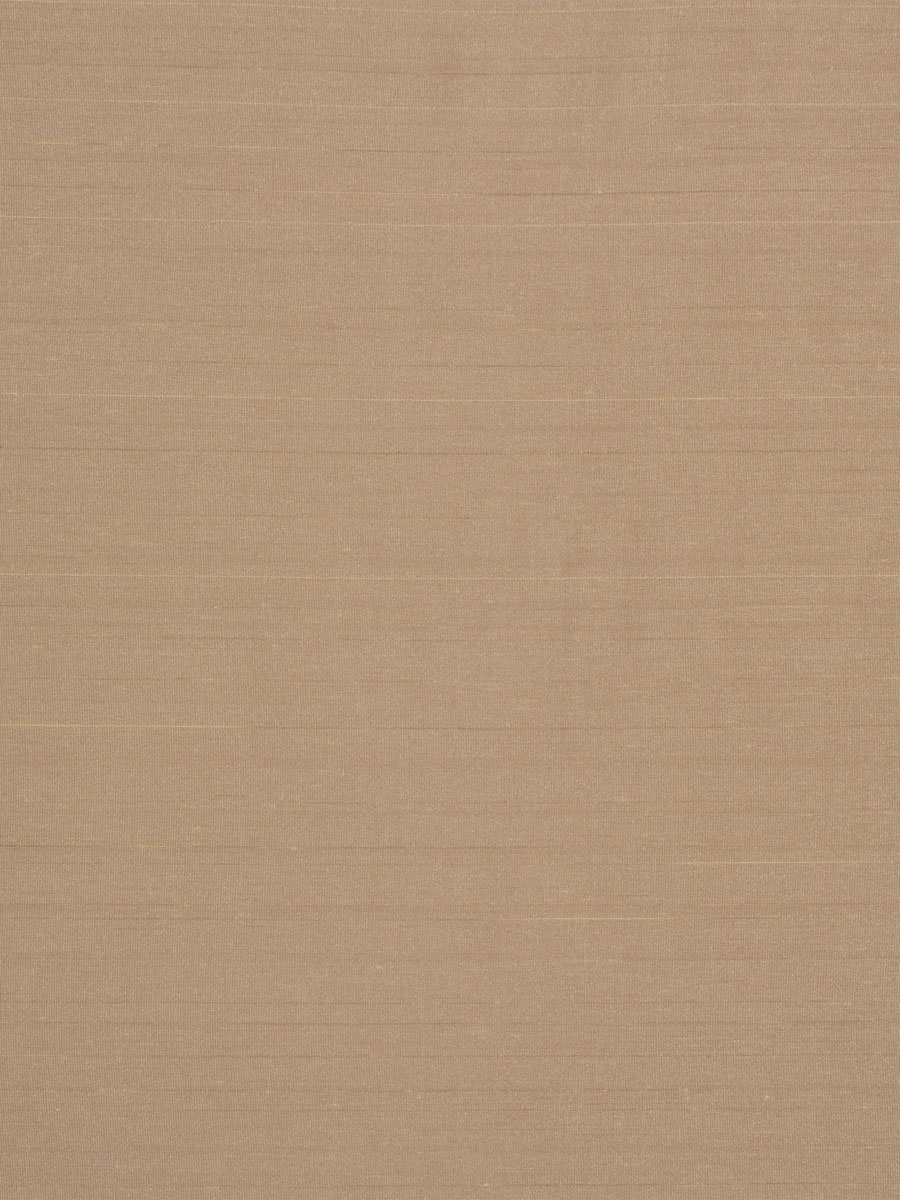 Eleganza – Salmon