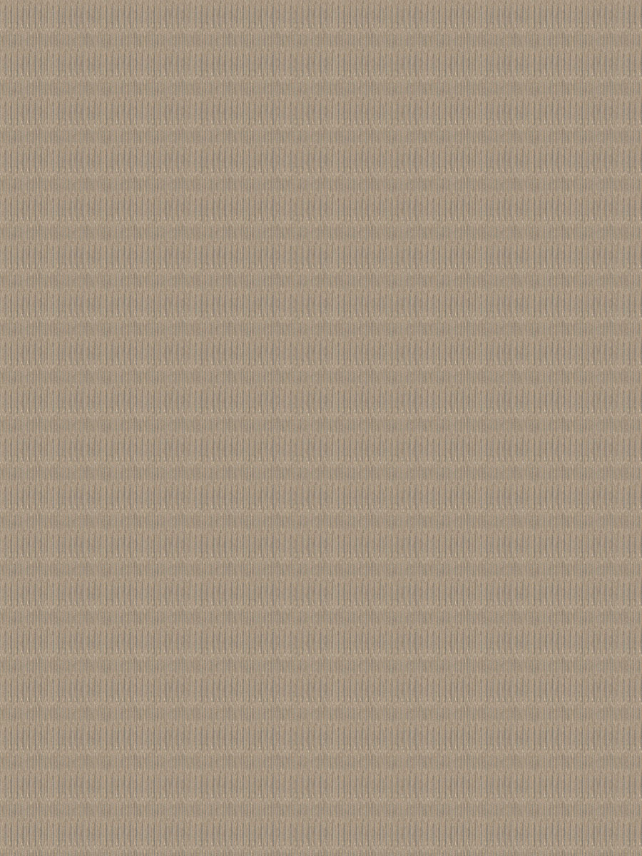 Joshi – Cappuccino