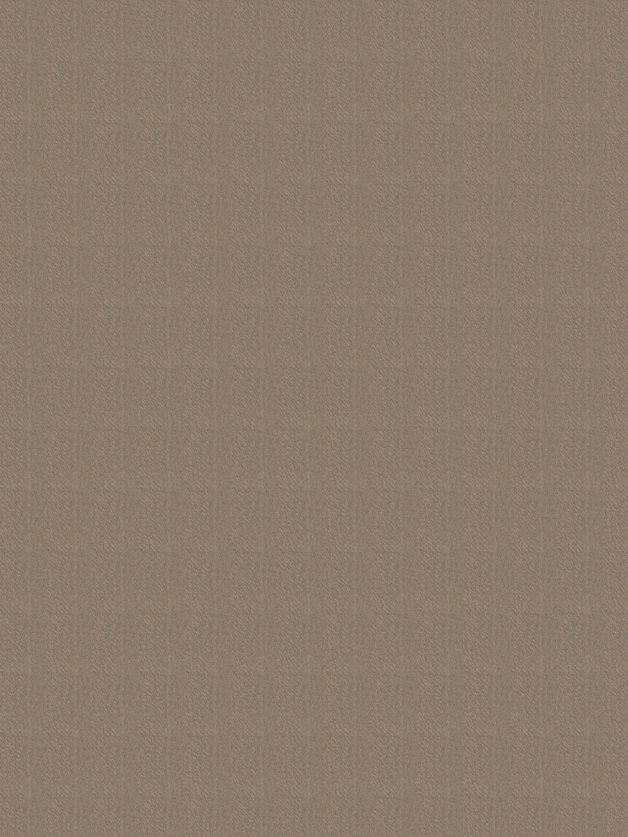 Zuckerberg – Bronze